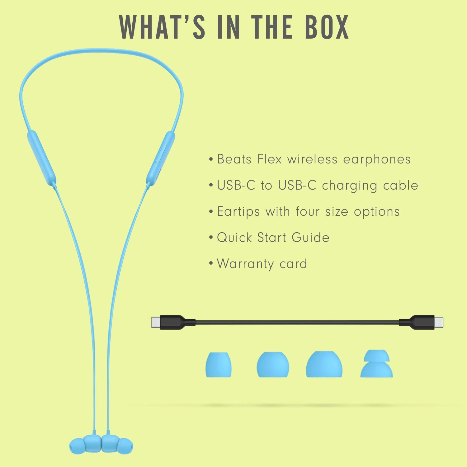 Flex Wireless Earphones