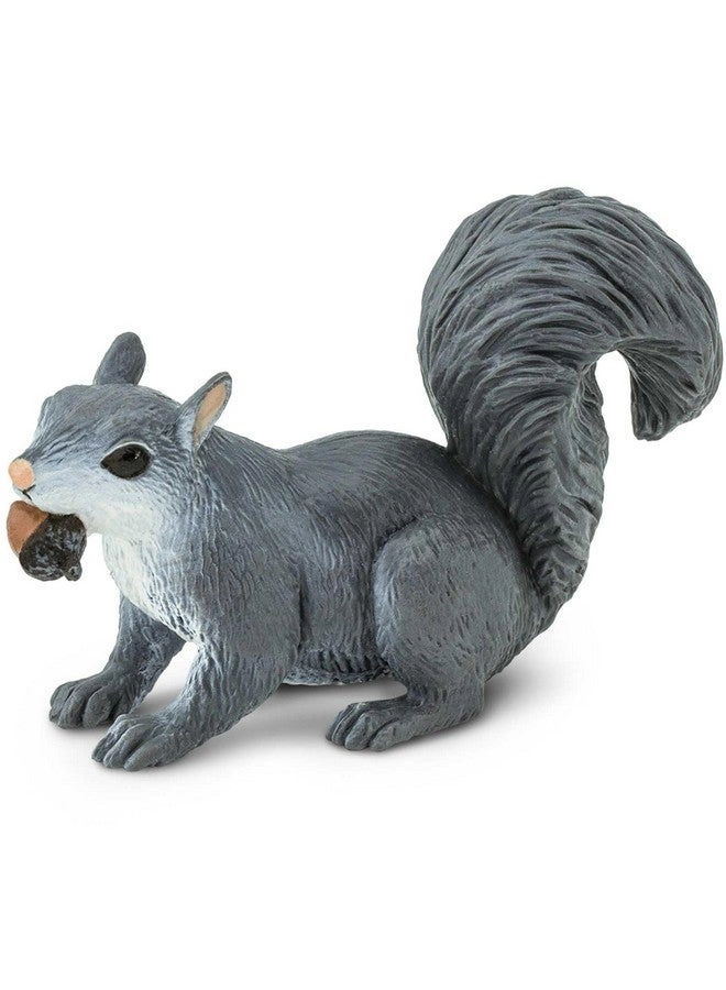Wildlife - Gray Squirrel