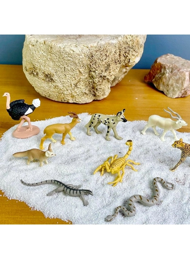 Sahara Desert Animals TOOB - 3 years+ 9 pieces