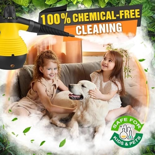 Handheld Steam Cleaner - 350 Milliliters