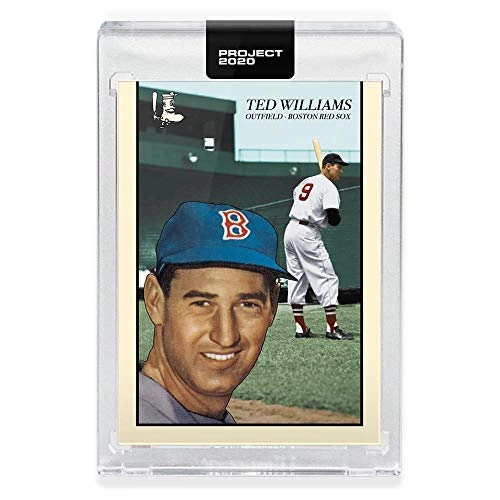 PROJECT 2020 TED WILLIAMS Encased Baseball Card 90-1954 - 20pcs