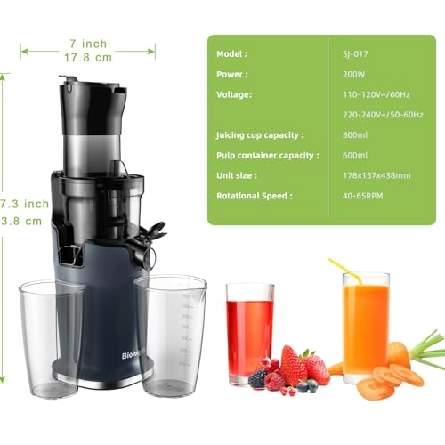 Masticating Juicer - 200W