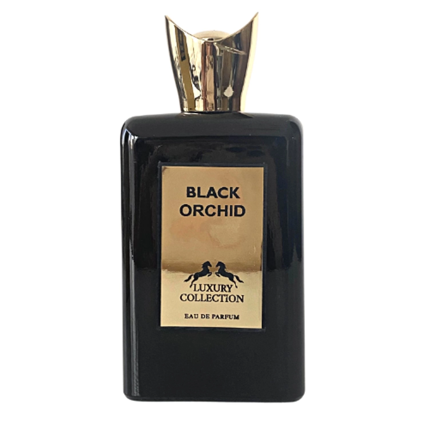Queen Black Orchid U Eau de Parfum 100 ml