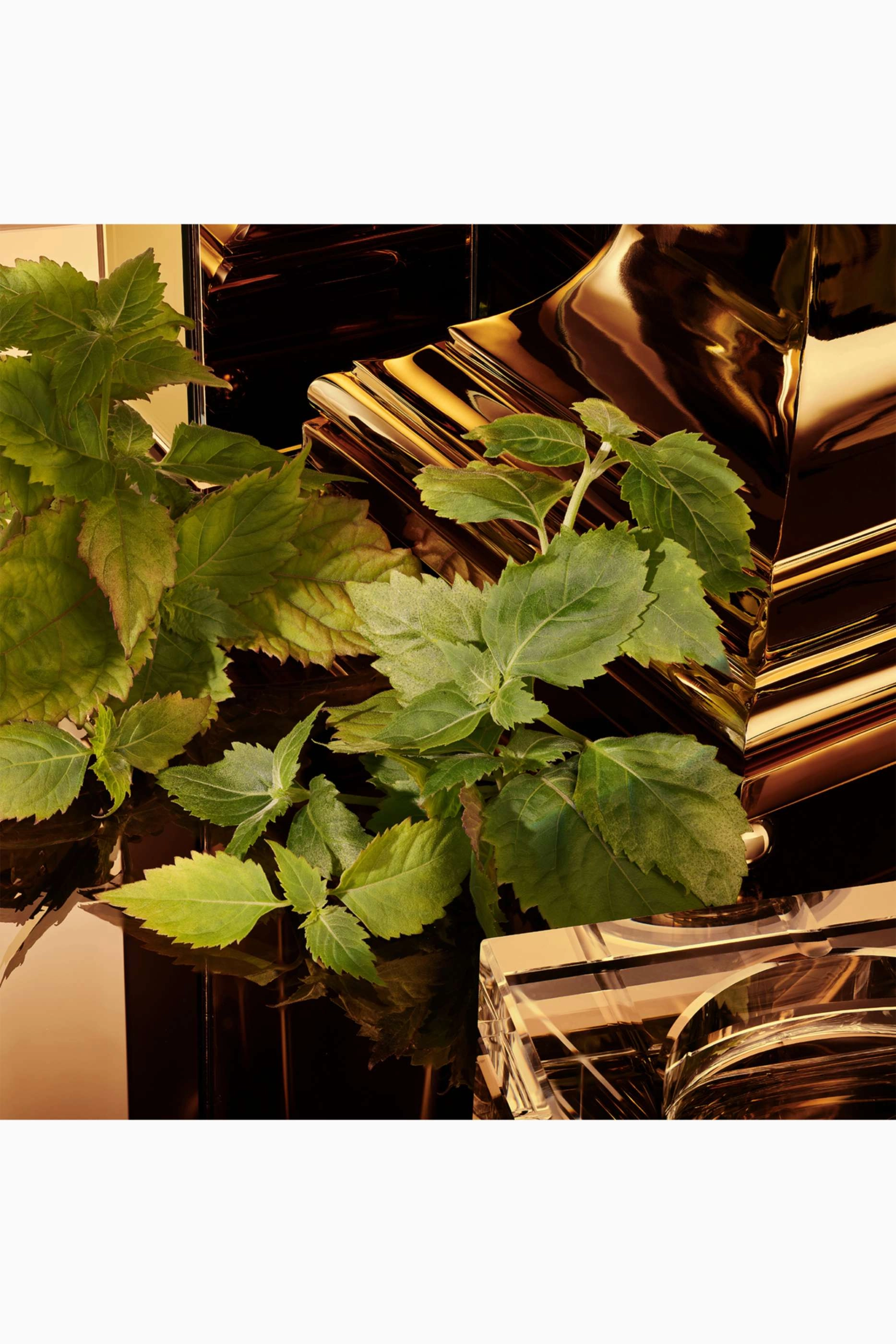 The One for Men Gold Eau de Parfum 100ml