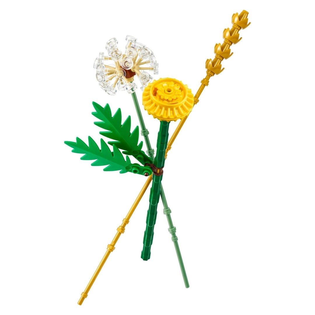 COLOR LAND CHILDRENS TOYS CENTER LLC Botanicals Field Flowers (30701)