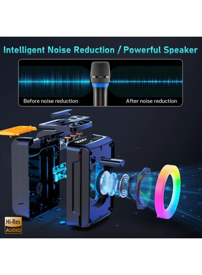 AE-D13 - 2 Microphones