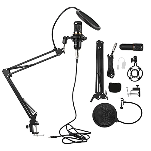 Eujgoovdphf18gbvr6120 USB Microphone