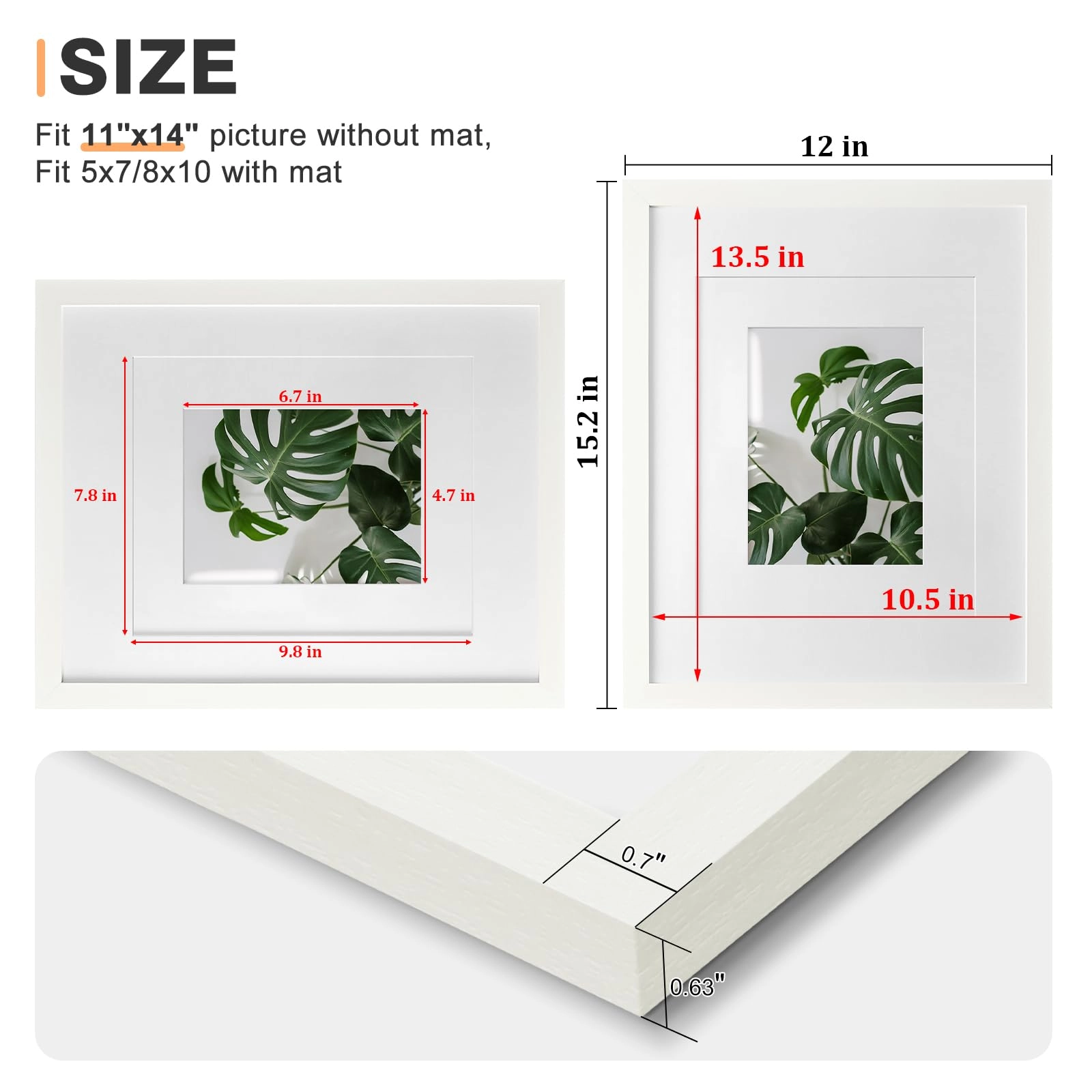 Picture Frame - 11x14