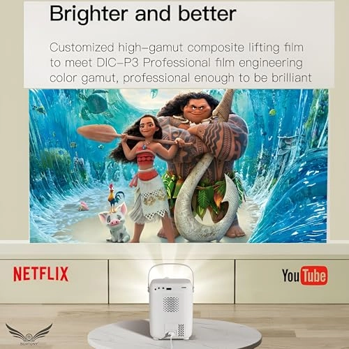 S10 8000 Lumens 1920 x 1080