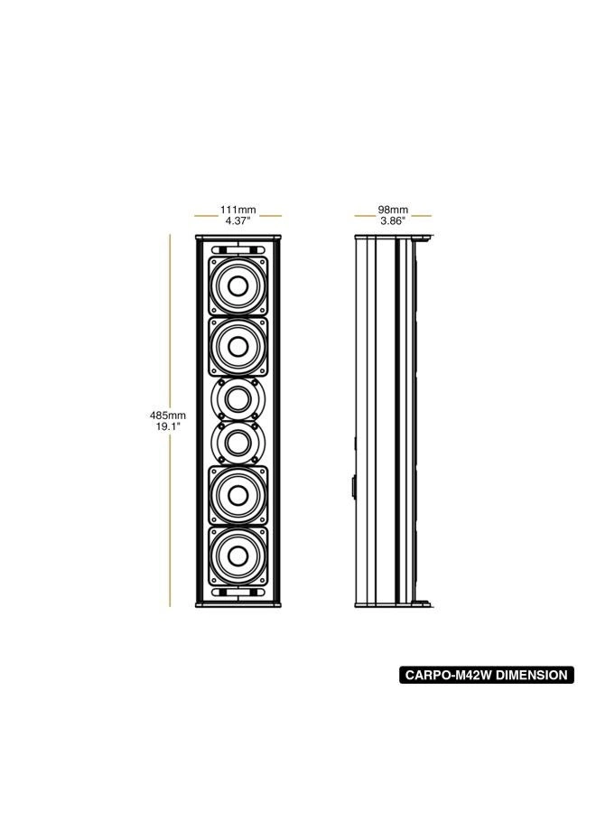 CARPO-M42W - 120W RMS