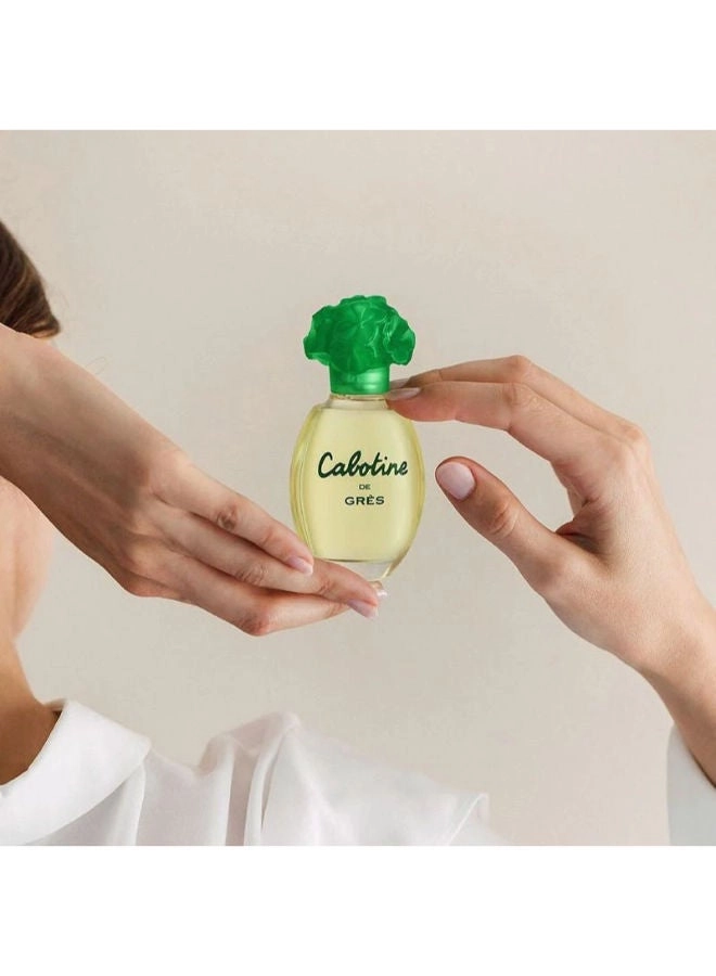 Perfume For Women Eau de Toilette 100ml