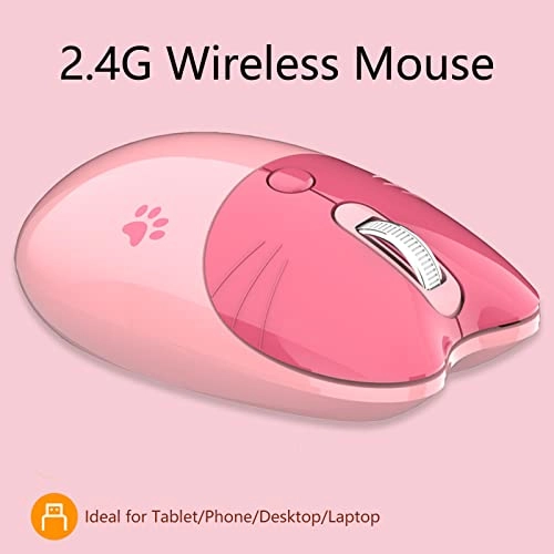 wfk8uphxng-11 - BT + 2.4GHz