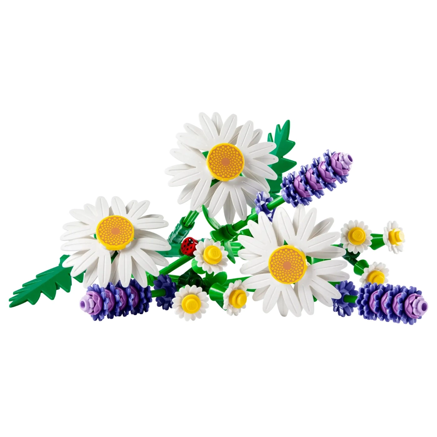 Daisies (11508)