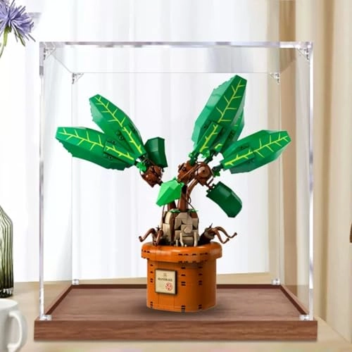 Figures Display Box - 30x30x30cm 2mm Acrylic