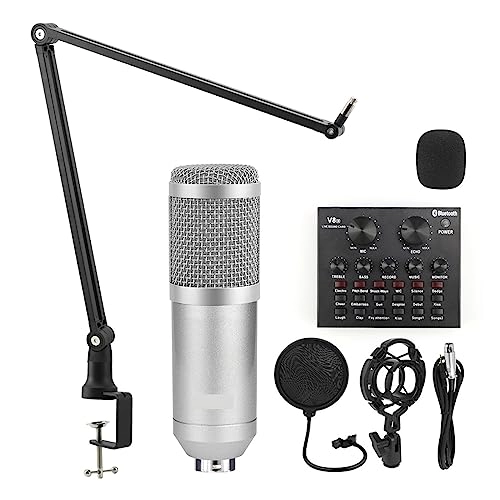 BM 800 + V8XPRO + Tripod Wireless Microphone