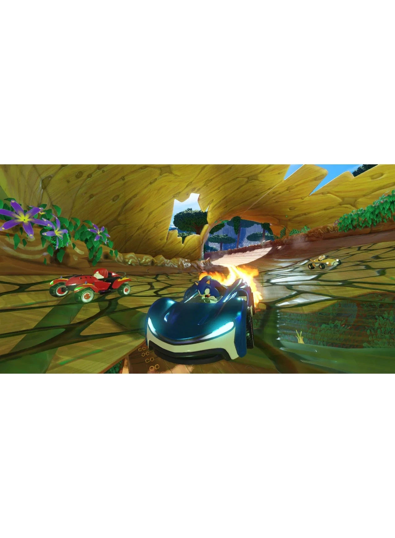 Sonic Mania + Team Sonic Racing Double Pack | Nintendo Switch