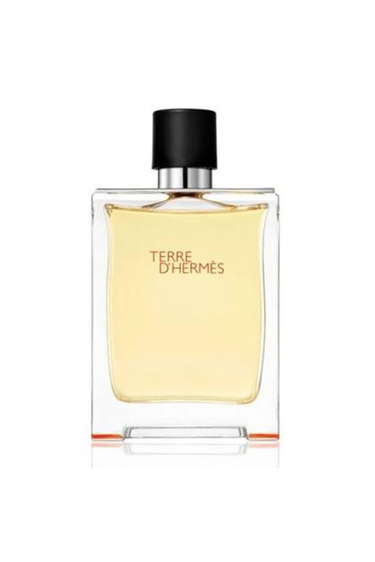 Terre D'Hermes Eau de Toilette 50 ml