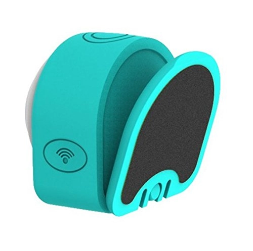 BWPODOG1 - 1080p 30FPS