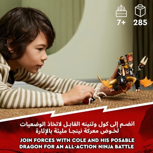 NINJAGO Cole’s Earth Dragon EVO