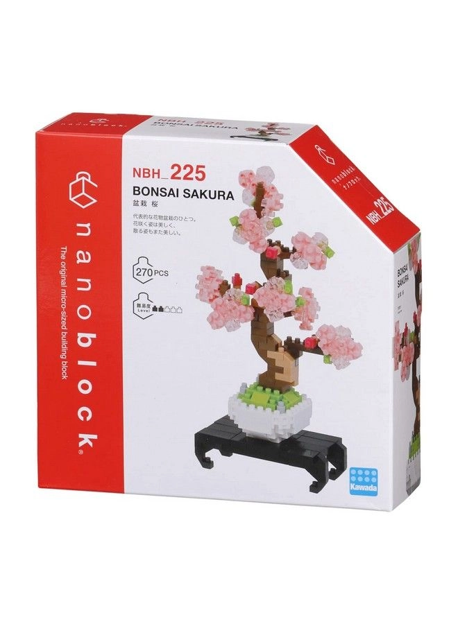 Bonsai Sakura - Sight To See Series Culture