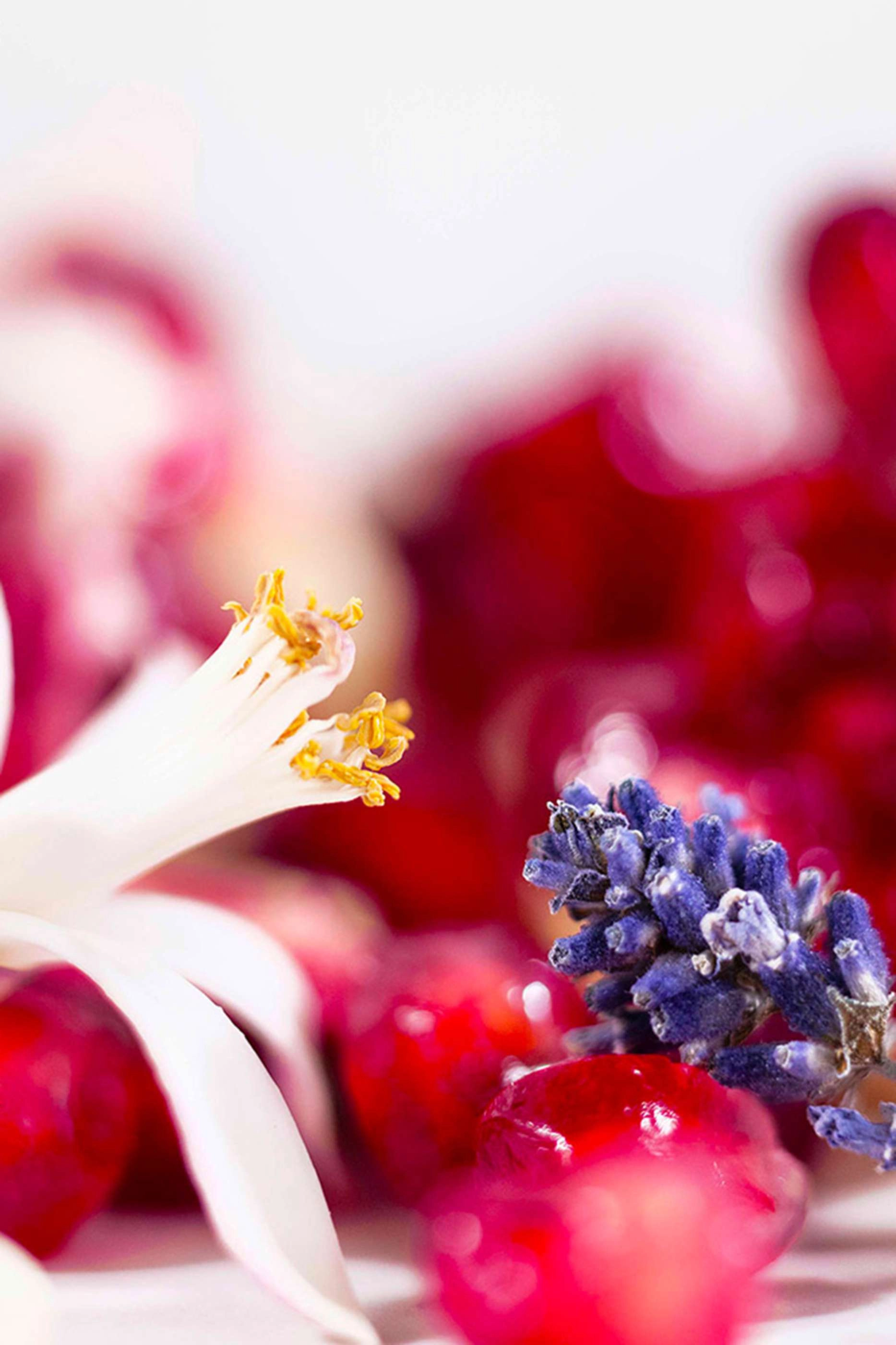 Libre - 30ml Moroccan Orange Blossom