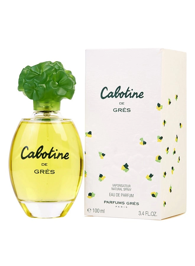 Eau de Parfum - 100ml