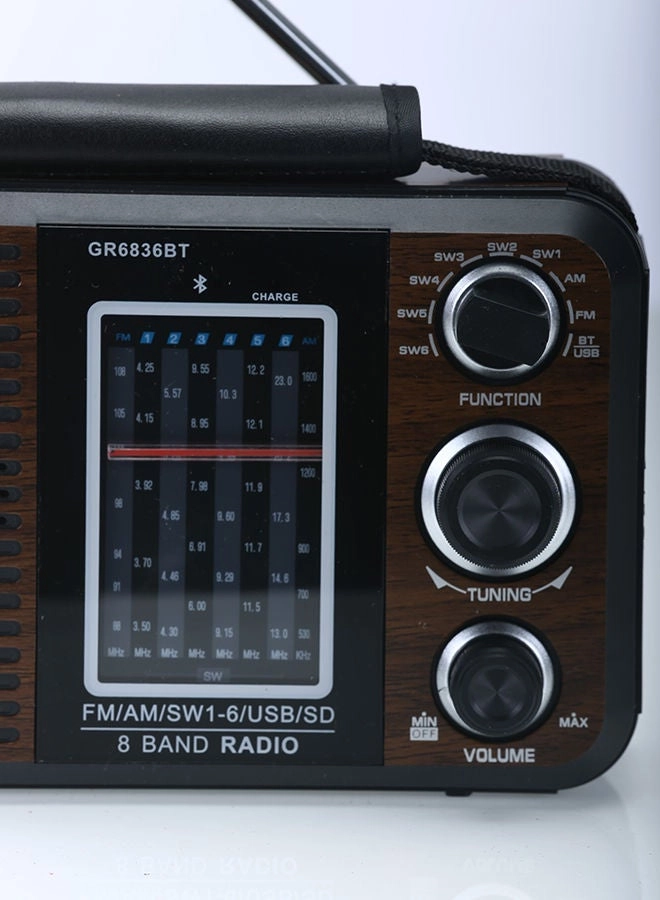 GR6836BT - FM Radio