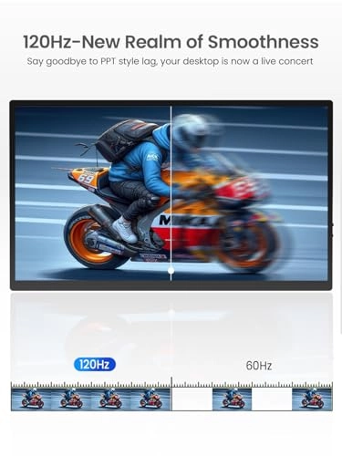 Portable Monitor - 1080P 18.5 Inch