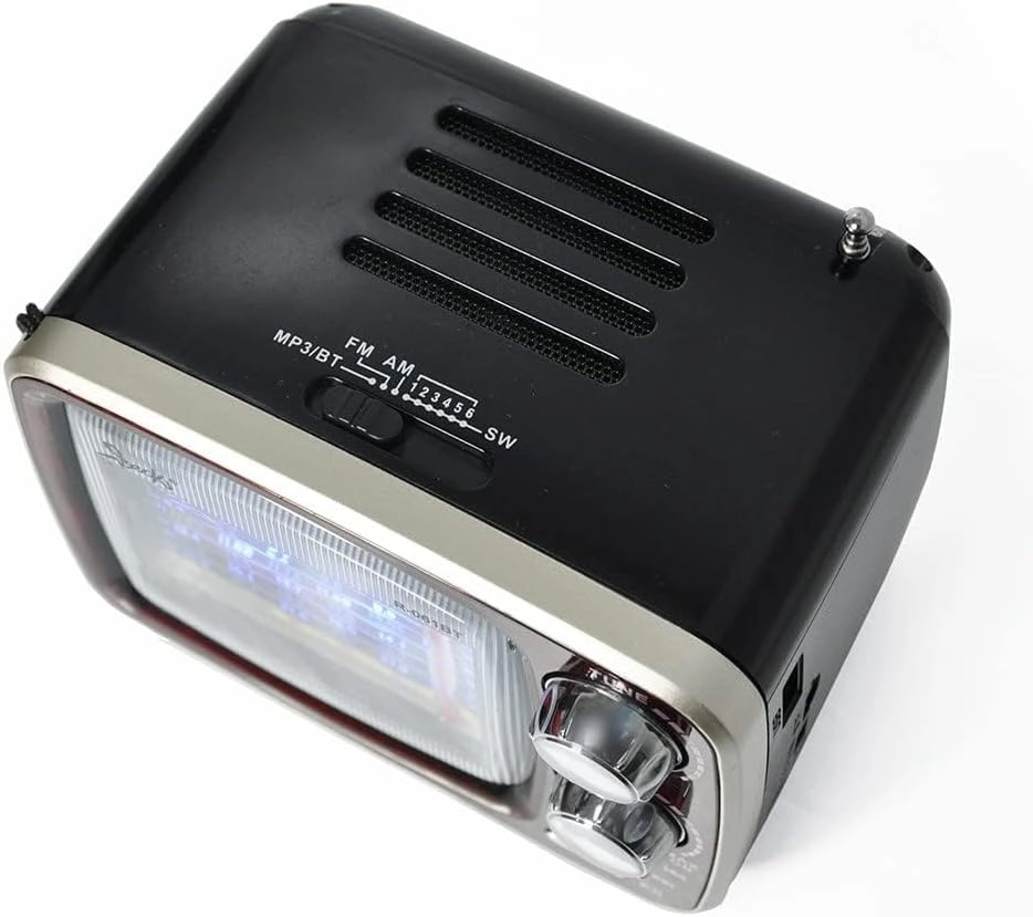 Portable Bluetooth Radio