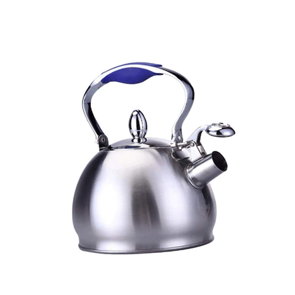 Stainless Steel Kettle - 2.5L