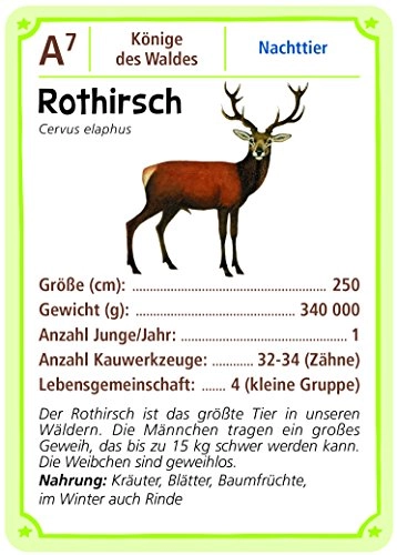 Expedition Natur: Forest Animals Quartett - Card Game