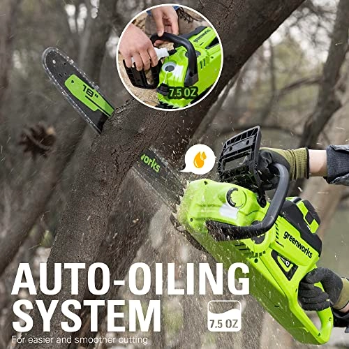 CS40L415 - 288 Watt-hours