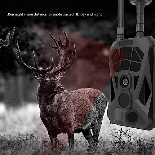 x2kvo01sut - 4G 36MP