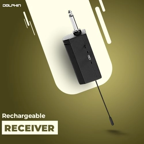 Pro Wireless Microphone System - 2