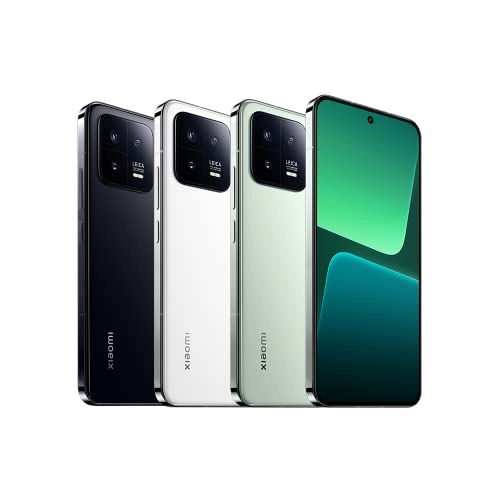 13 - 12GB 256GB