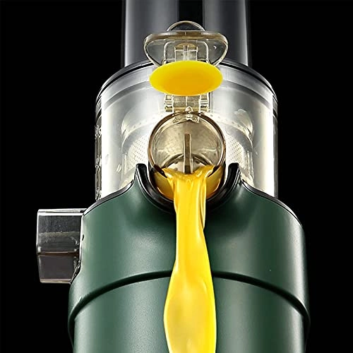 Masticating Juicer - 150 Watts 1500 Milliliters