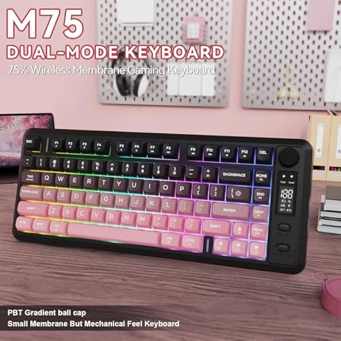 M75 - Wired/Wireless
