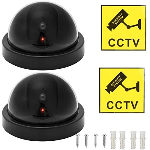 Dummy Security - Indoor Outdoor