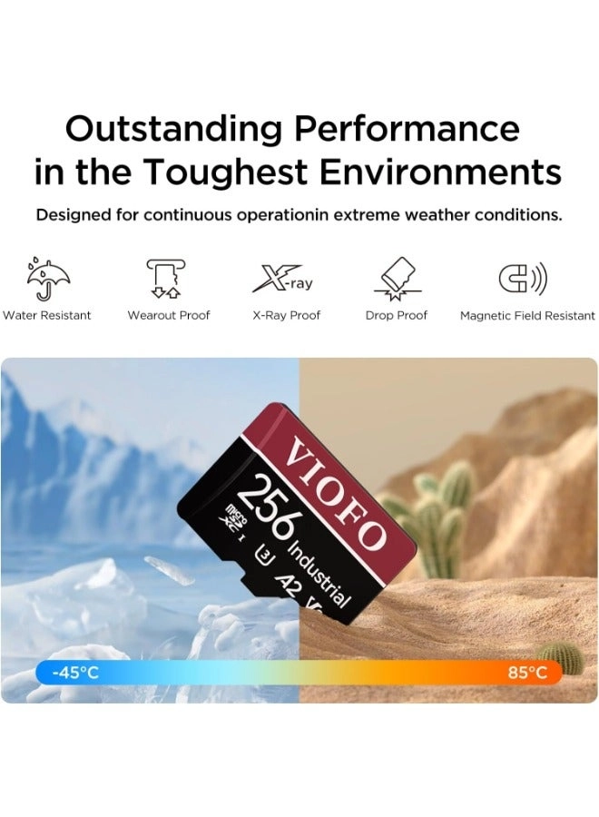 microSD Card - 256GB