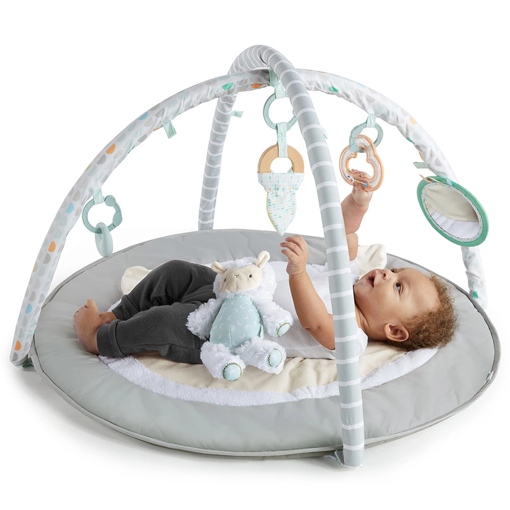 Sheppys Spot Plush Activity Gym - 0 month