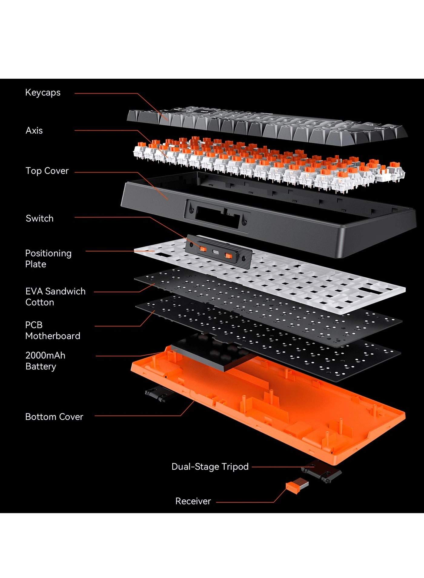 MK12 - EN/AR Wireless