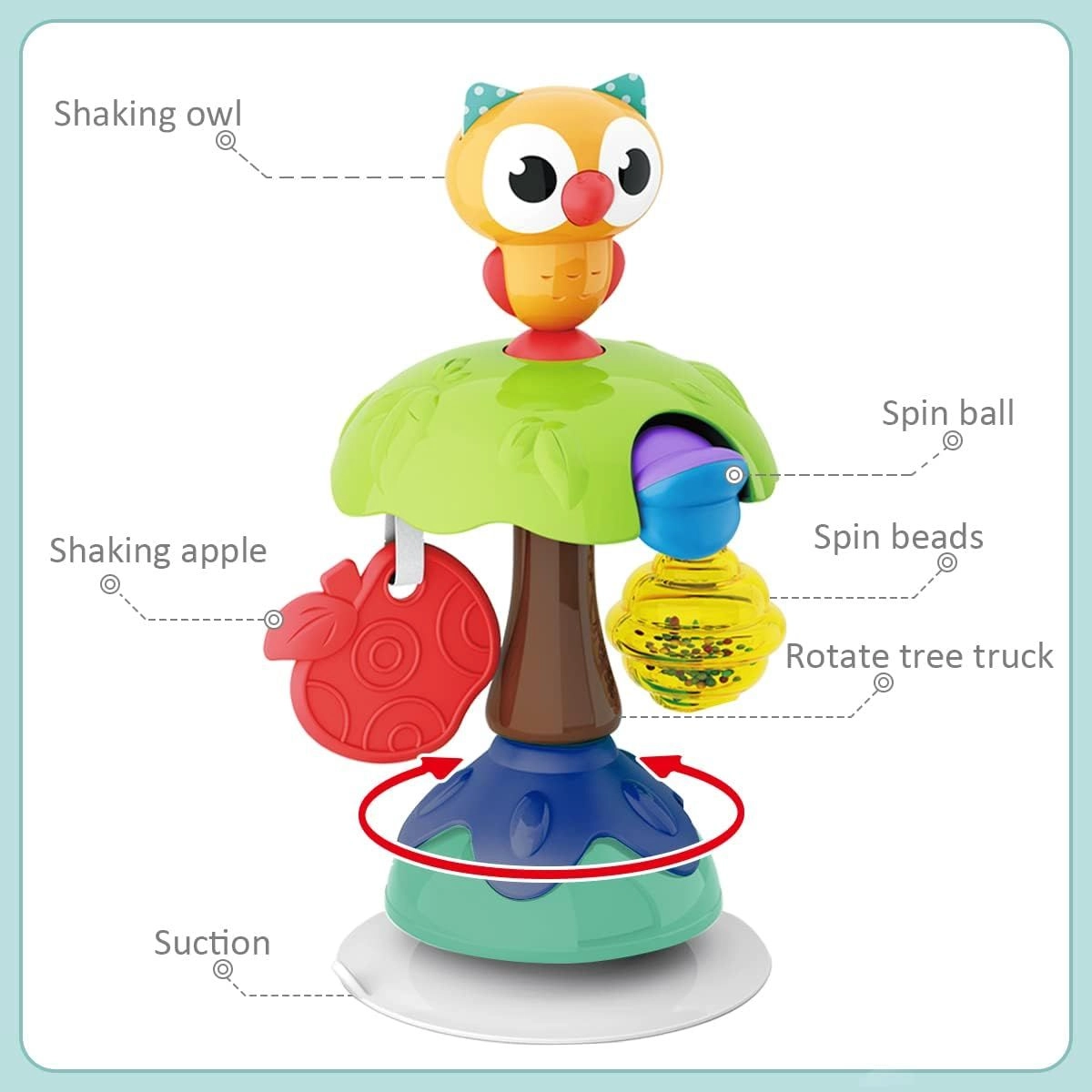 Smart Owl - 6 months