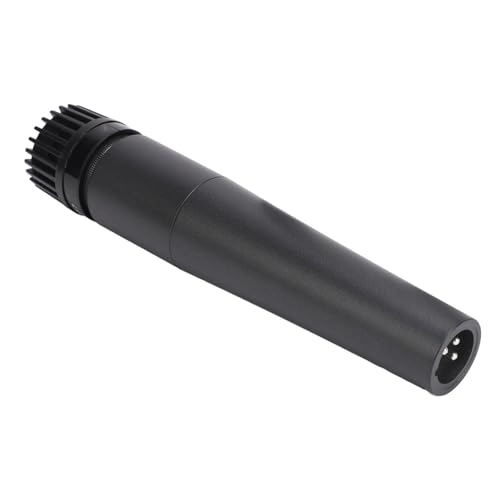 Denashqzo20gw1sv XLR+USB Microphone