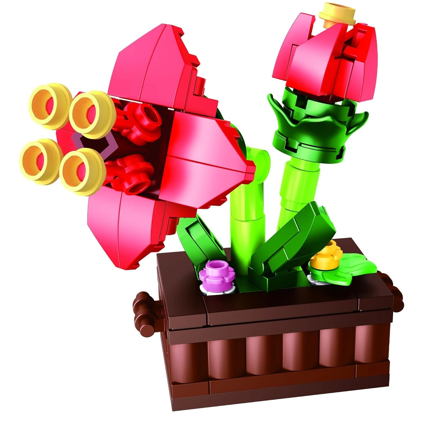 ThinkerPlace Hippeastrum - 94pcs