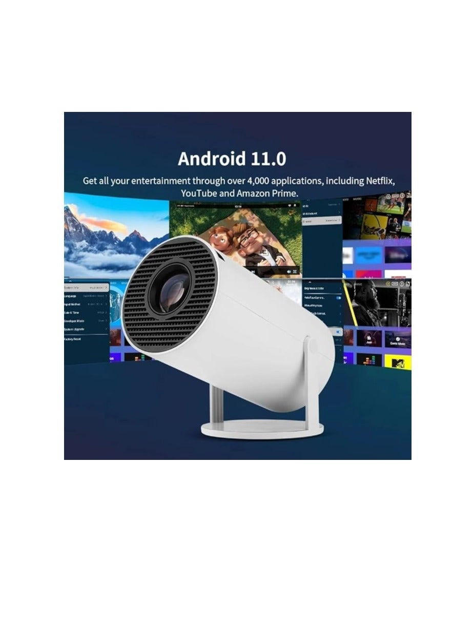 HY300 PROJ-WO-87-AN 150 ANSI