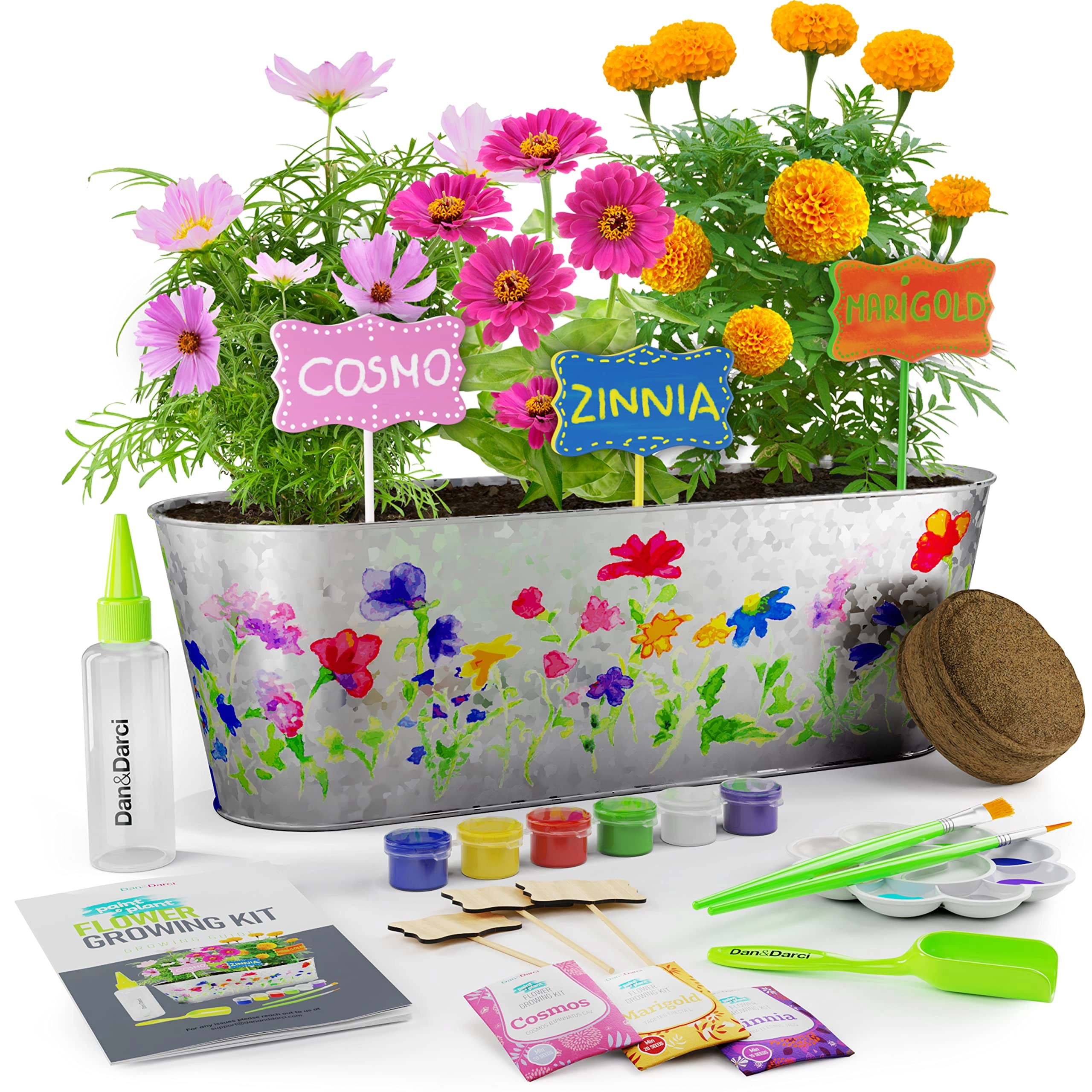 Dan&Darci Paint & Plant Flower Growing Kit - 1 piece(s)