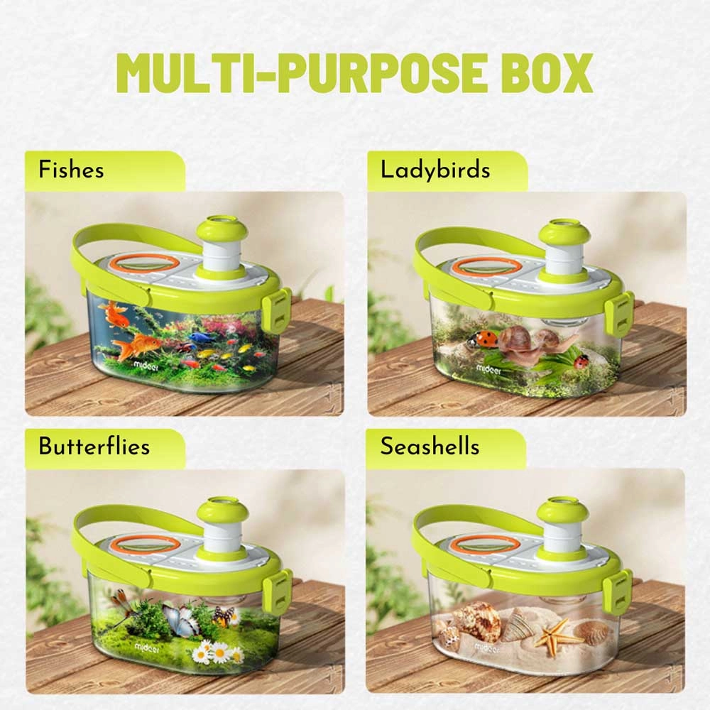 Insect Observation Kit - 3 years+