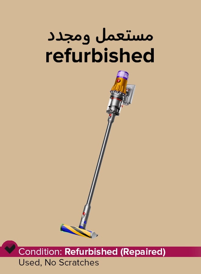 Dyson (Refurbished) V12 Detect (V12)