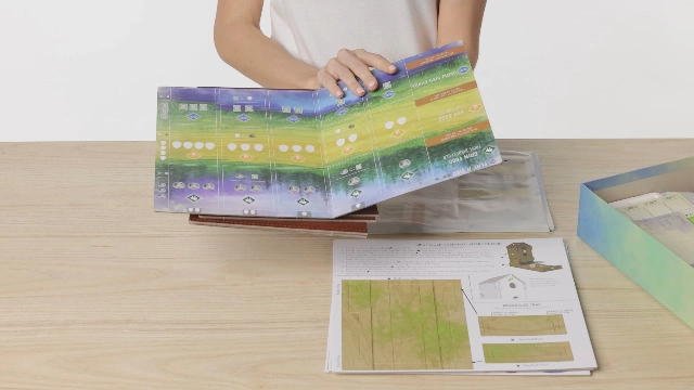 Wingspan Swift-Start Pack