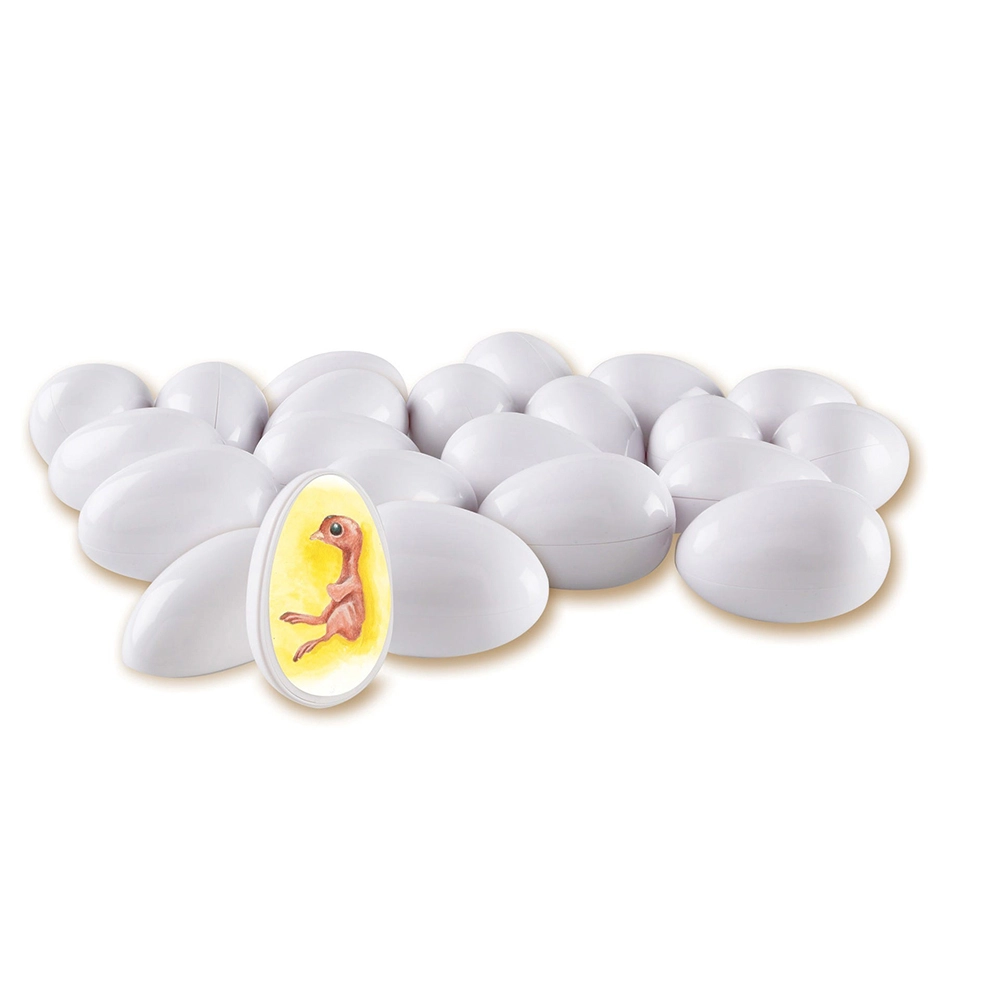 Learning Resources Chick Life Cycle Exploration Set - Suitable for 5 years & above